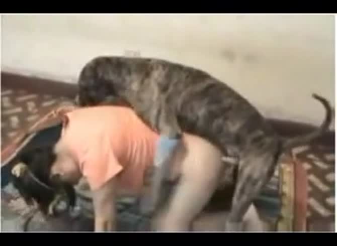 Video :Big ass babe got fucked in dog anal sex